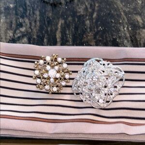 Elegant Silver and Gold Floral Brooch Set